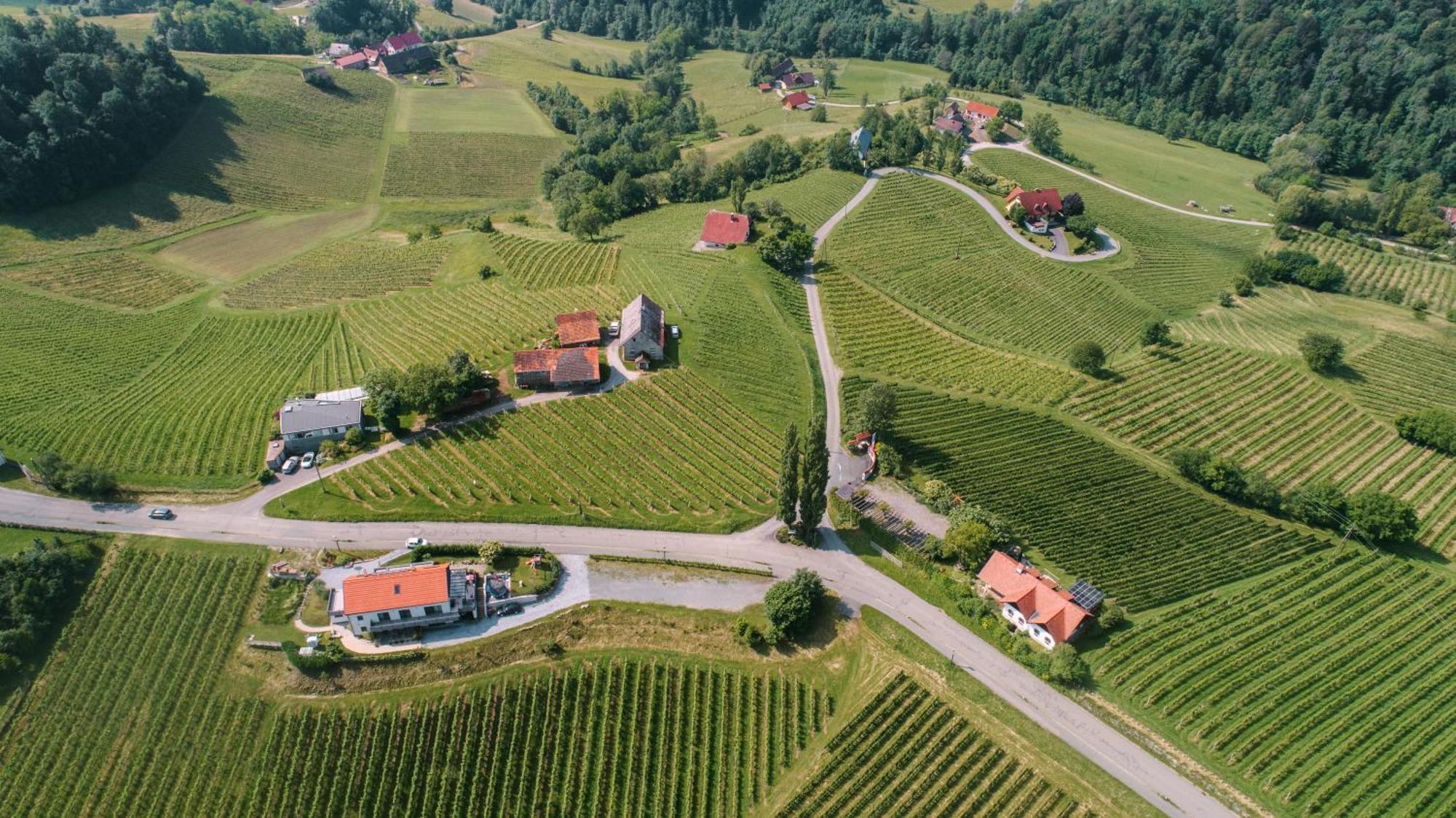 Weinstrassenapartment Fam. Dietrich Ratsch an der Weinstraße Zewnętrze zdjęcie